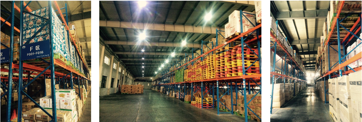 威斯尼斯人wns888app网站 - (中国)官方网站